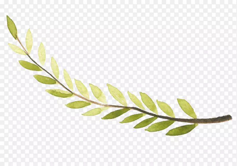 ����ɫ��֦ʸ���廭-������