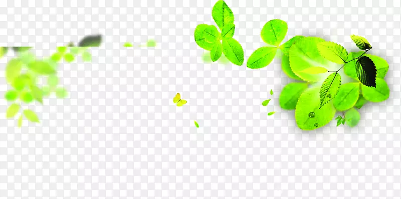 ��ɫʱ����Ҷ��������-������