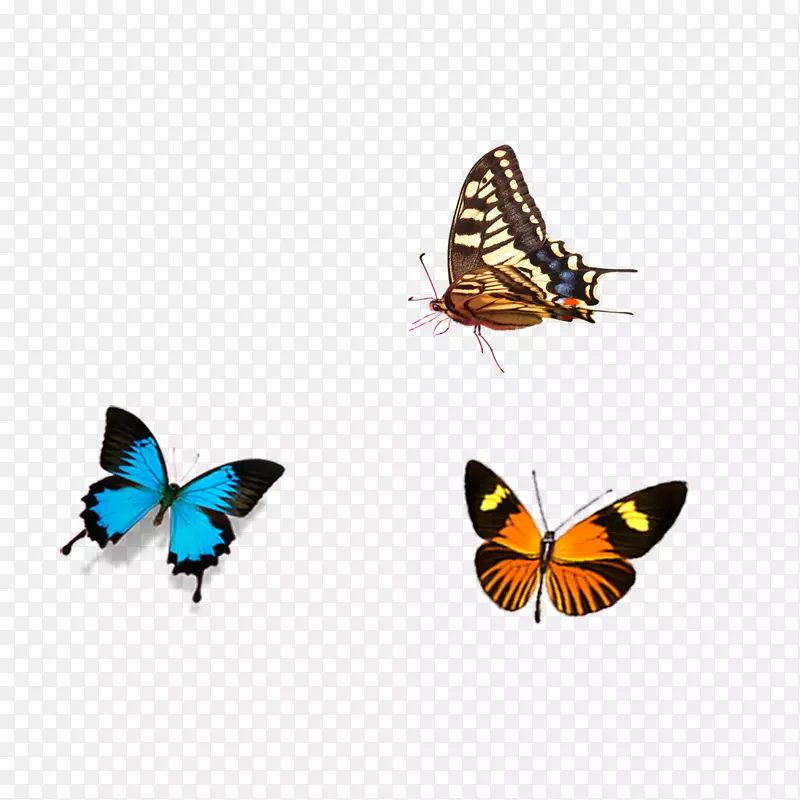 Ψ������-������