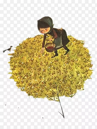 �廭-������