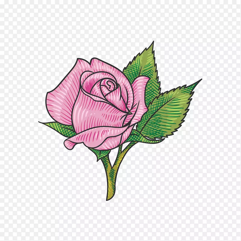 ��ɫõ�廨�������-������