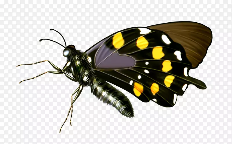 ����-������