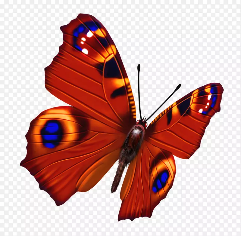 ����-������