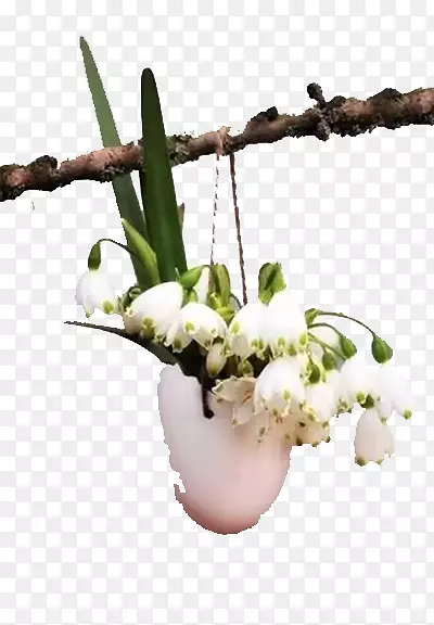 �������ϵĻ�-������