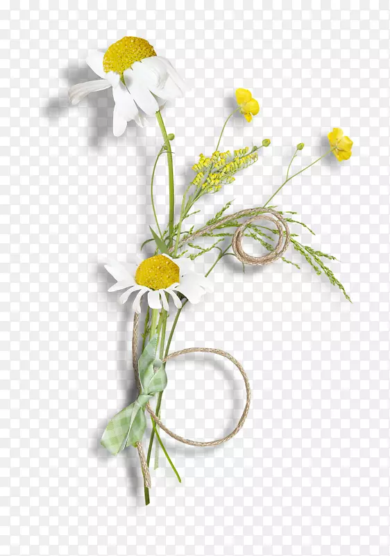 �ʻ�ֲ��װ���ز�-������