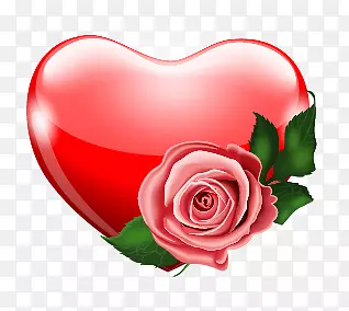 ��ɫ����Ԫ��-������