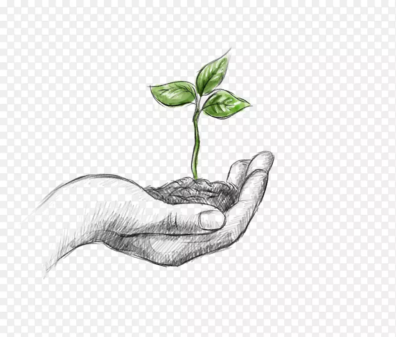 �������������-������