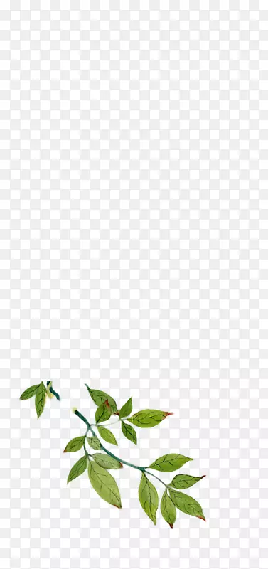 ��֦ -������