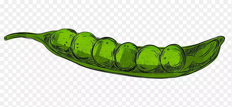 �ļ������߲˹Ϲ���廭�������-������