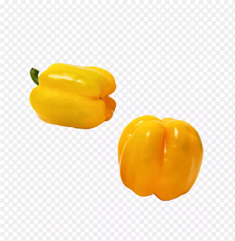 ʵ�������-������