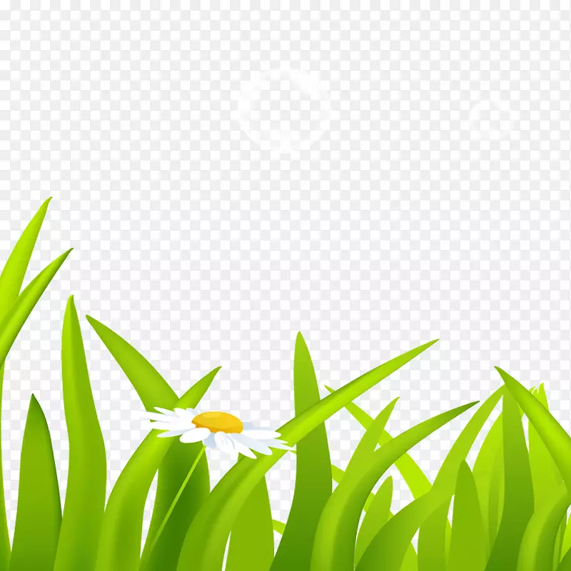 С��-������