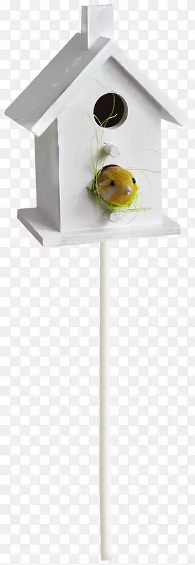 Ư������ľ������-������