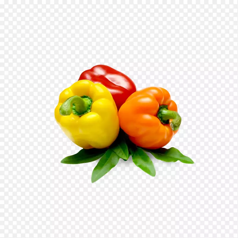 �����߲��������png-������