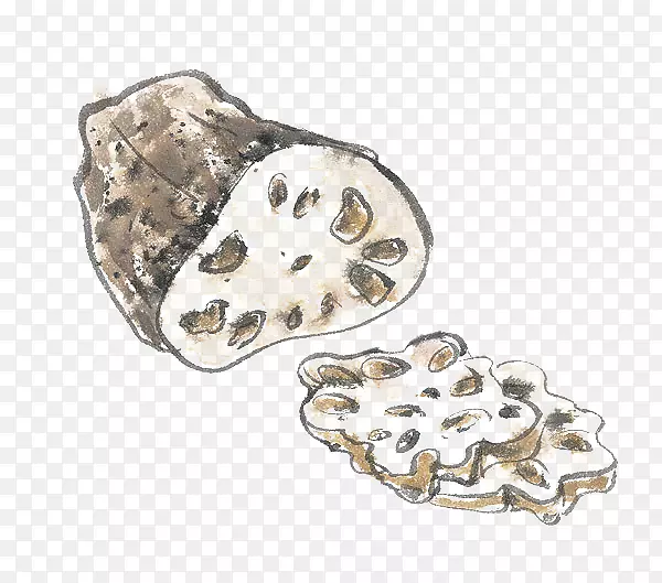 �ֻ�źƬ-������