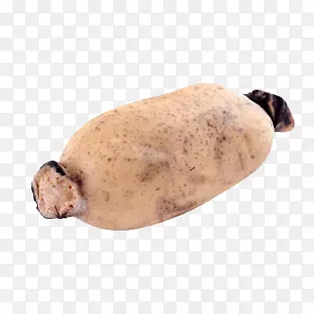 ������ź-������