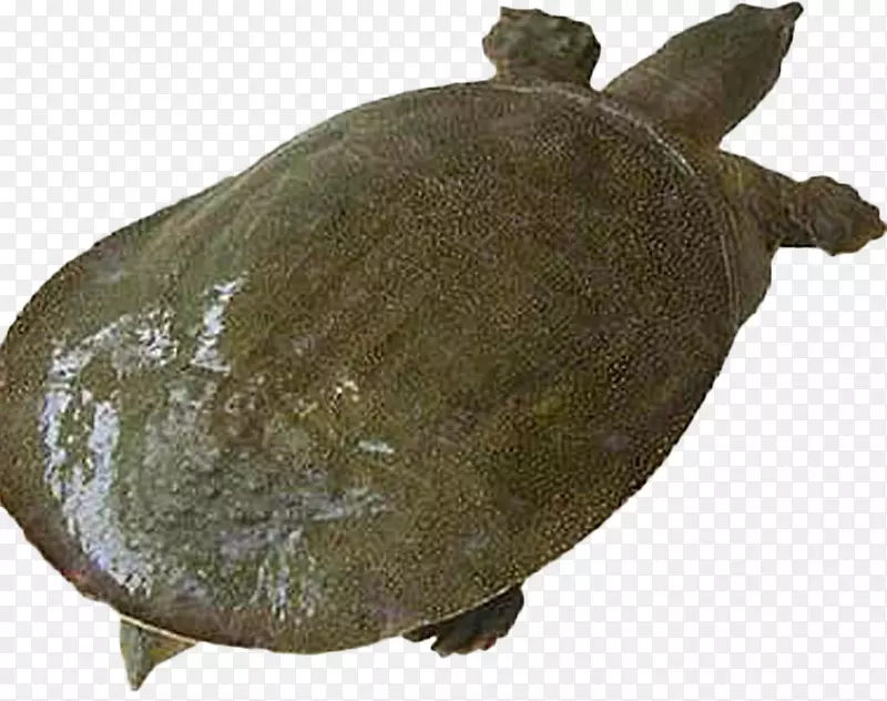 ������ζ���ͼ���-������