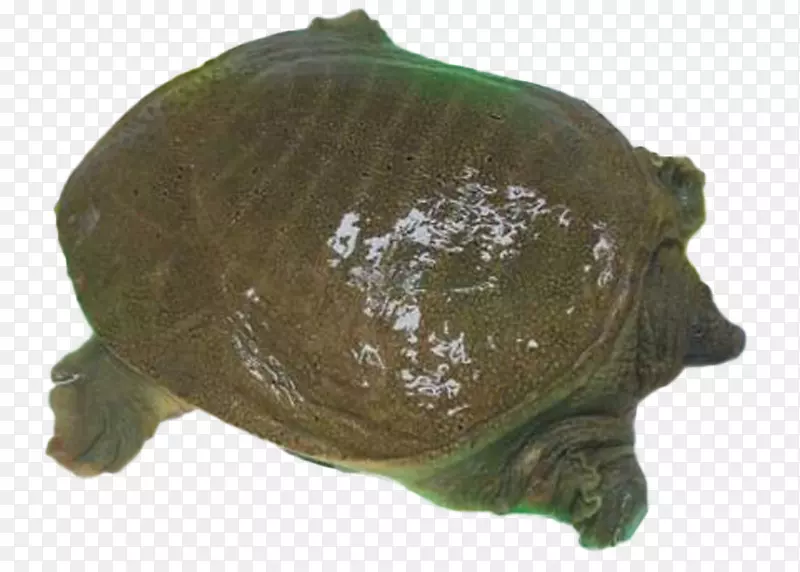 Ұ��������������-������