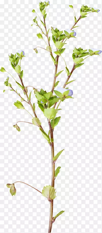 ��-������