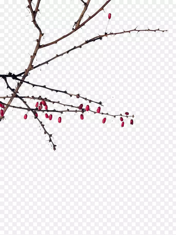 ��������-������