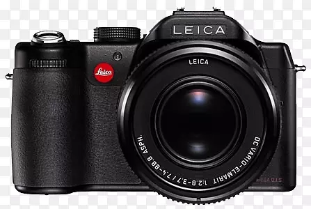 ��ɫ���������Ʒʵ��-������