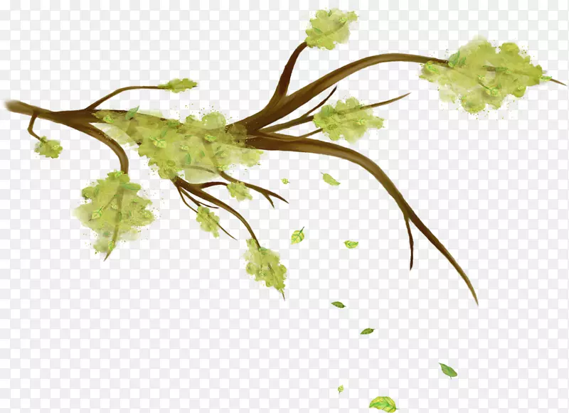 ˮ����֦-������