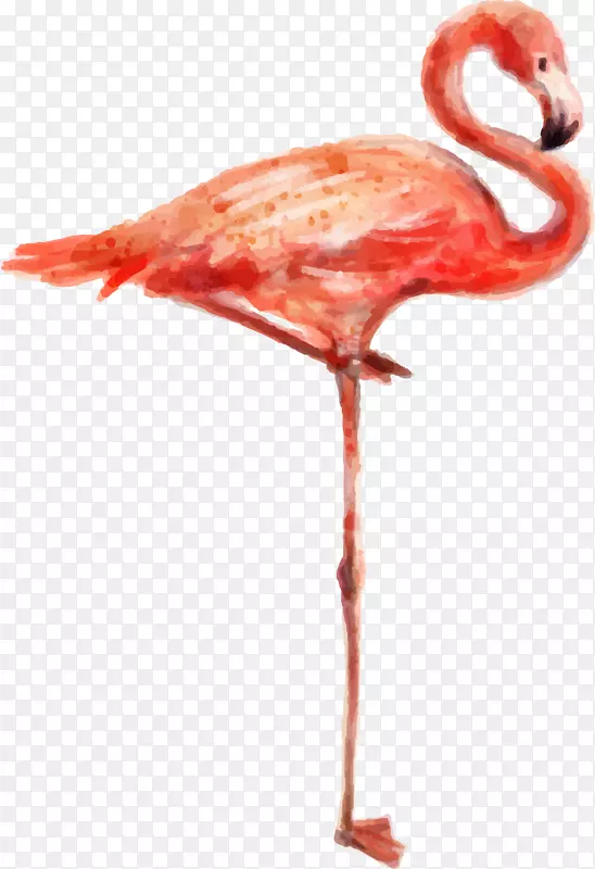 ˮ�ʶ���վ�����ɺ�-������