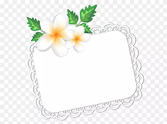 �����ǩ-������