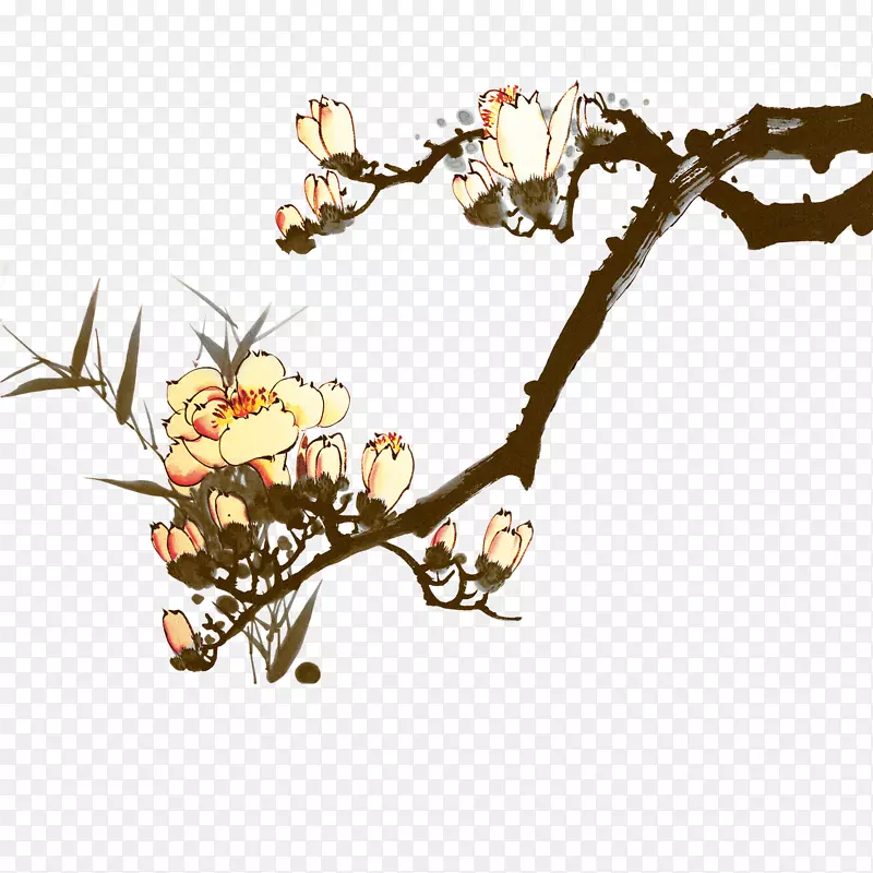 ��֦-������