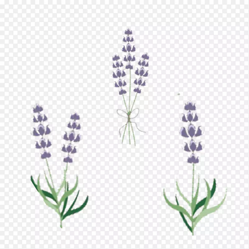 ��ɫ޹�²ݻ������ͼ-������