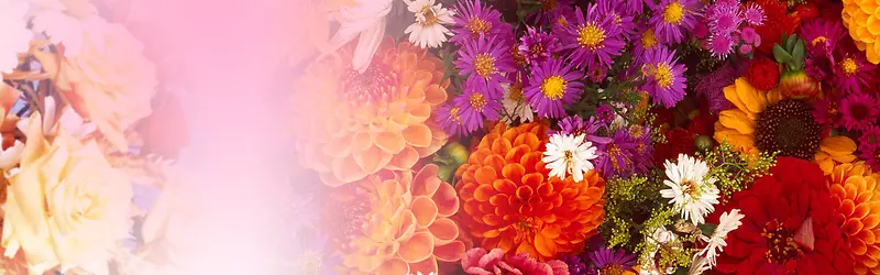 �������亣������-������