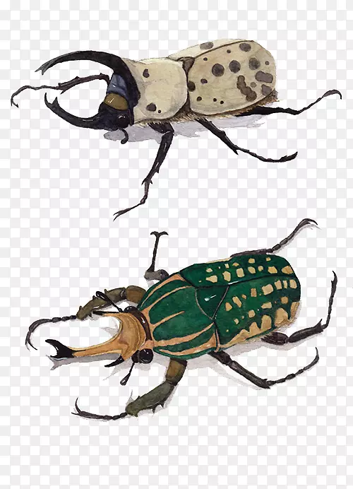 �ֻ���ţ-������