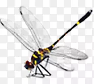 ����-������