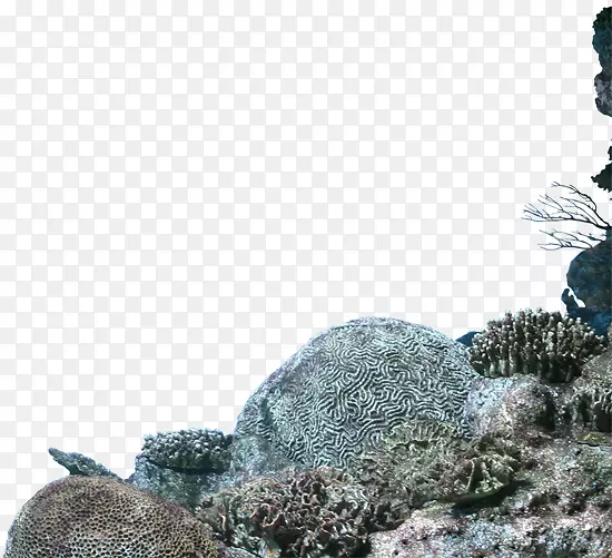 ʯͷ�ͺ���-������