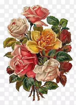 �λ�ͼƬ��ͼ��-������