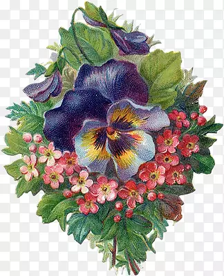 ����Ӱ��ͨ��-������