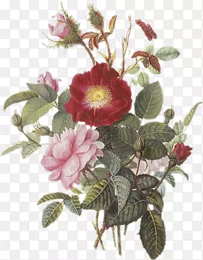 �ֻ濨ͨ�����ɾ� ��ͨ�ֻ滨��-������