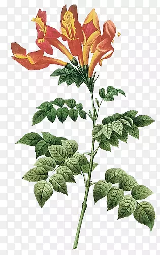 �ֻ滨���ֻ滨��ͼ�� ��ͨ�ֻ�-������