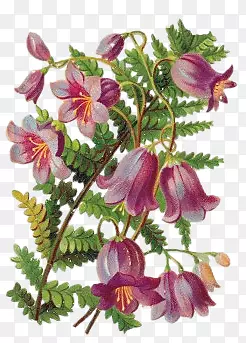 ��ͨ����ͨ�����ز�-������