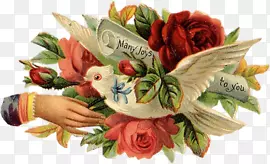 Ψ���ز��ֻ��ز�-������