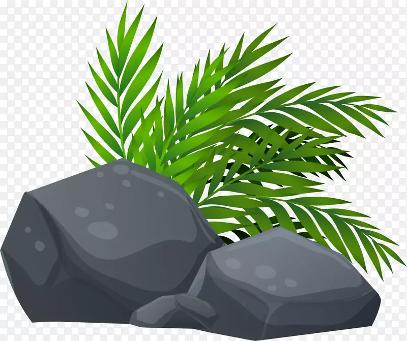 ����ʯ�����С��-������