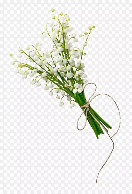 ɽ�Ȱٺ�-������