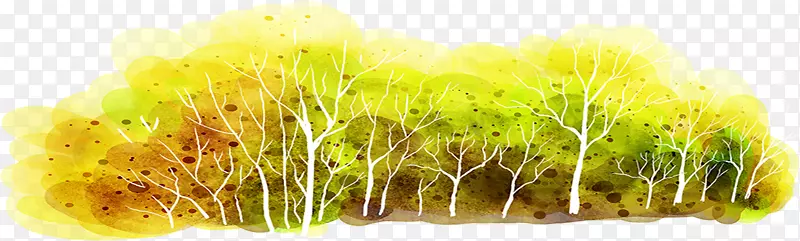 С��-������