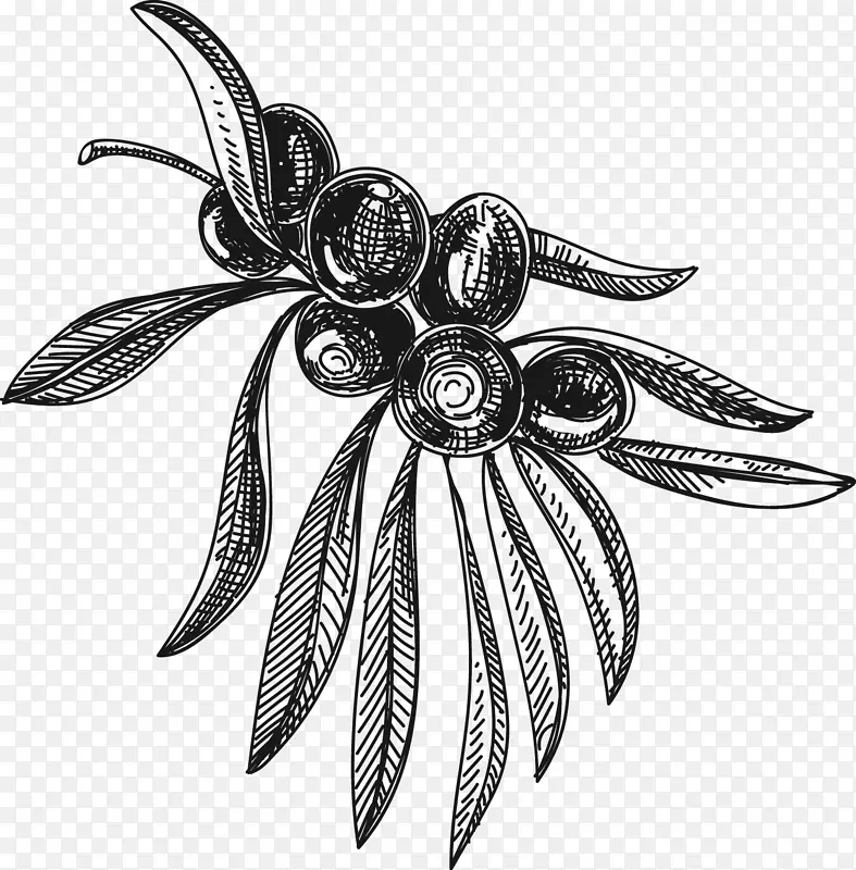 �ֻ���֦��ʵ-������