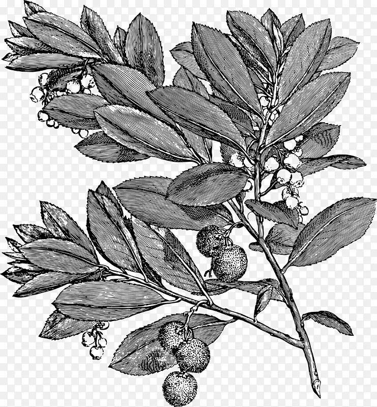 �ֻ��������Ҷ��֦-������