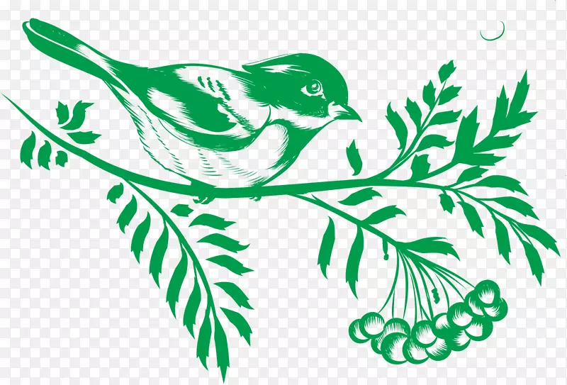 С���ز�-������