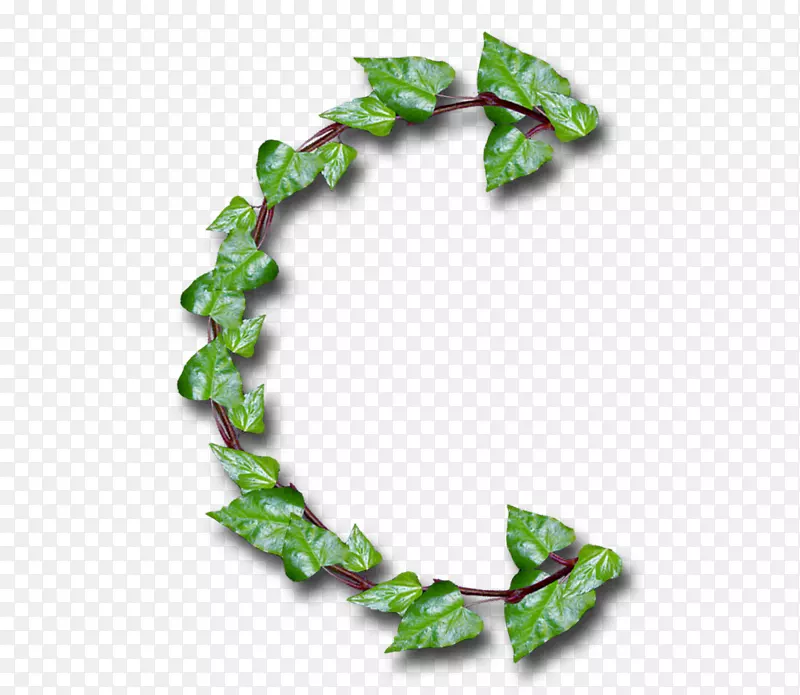 ��ĸ����ĸ��ͼ����-������-������