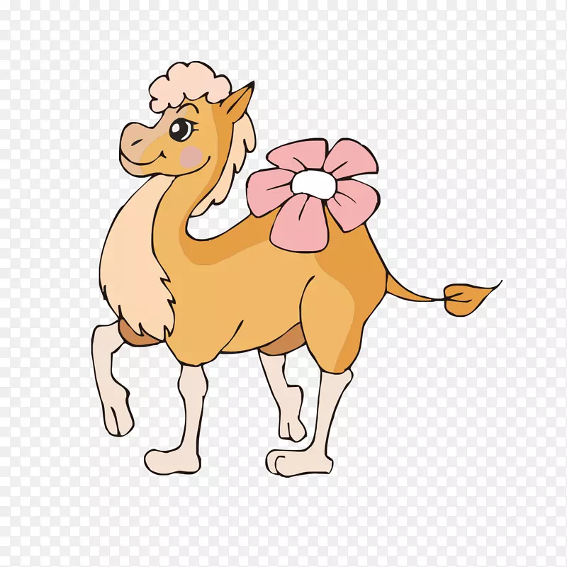 ���տ�ͨ����-������