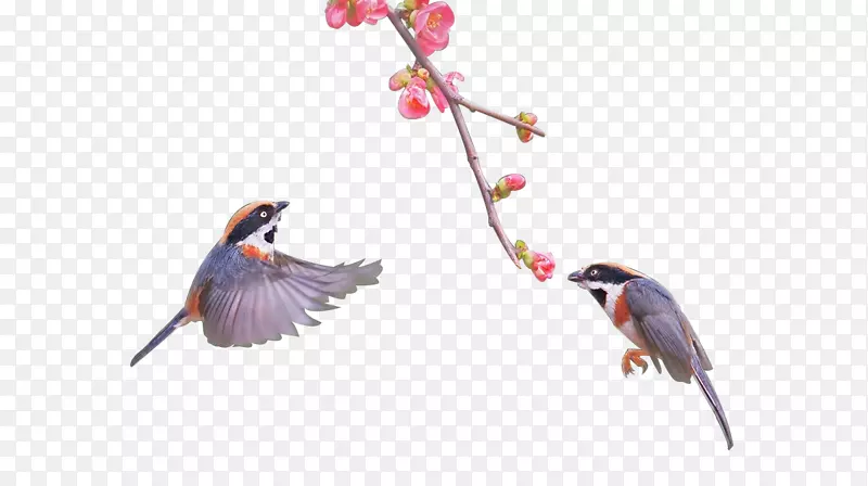 С��-������