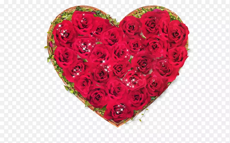 õ�尮��-������