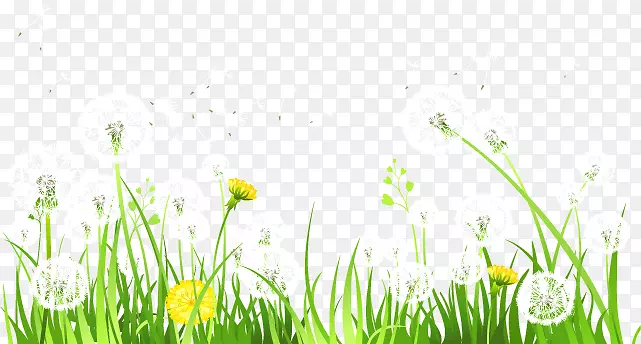 С��-������